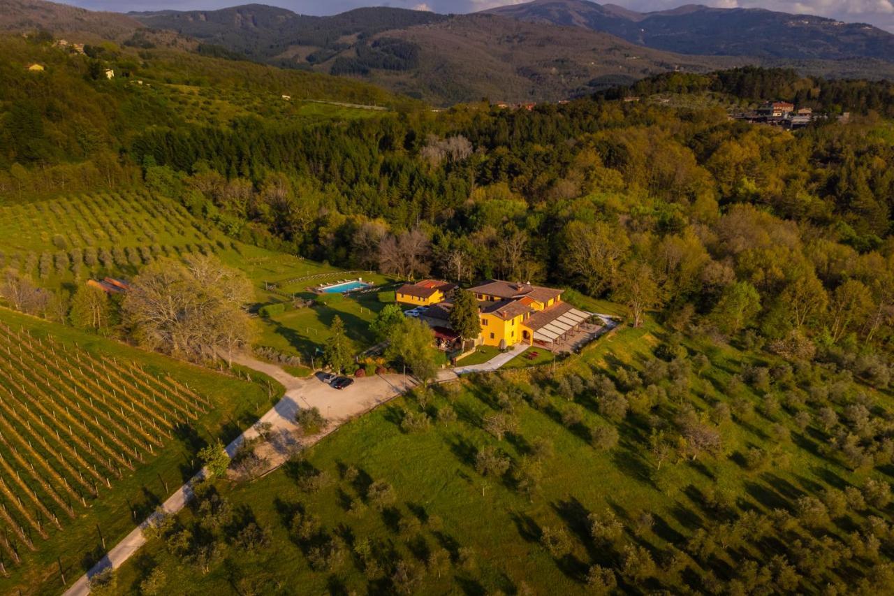 Tenuta Risalpiano Pelago Exterior photo